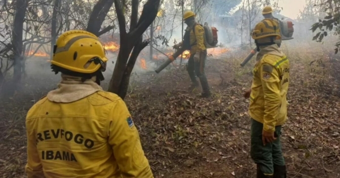 TCE lança campanha permanente contra queimadas no Amazonas