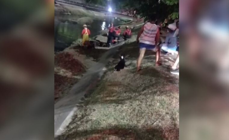 VÍDEO: BOMBEIROS TENTAM RESGATAR IDOSO PRESO EM BUEIRO NO BAIRRO JAPIIM EM MANAUS O HOMEM ESTARIA POSSIVELMENTE EM SURTO PSICÓTICO