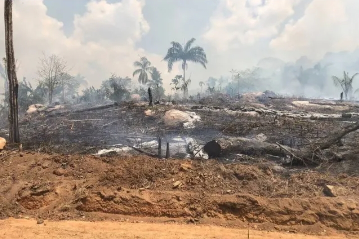 Acusado de incendiar área equivalente a 6,8 mil campos de futebol é preso no Pará