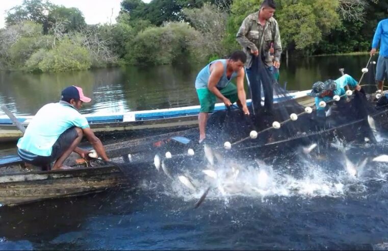 Mais 115 mil pescadores da Amazônia terão auxílio emergencial de dois salários mínimos