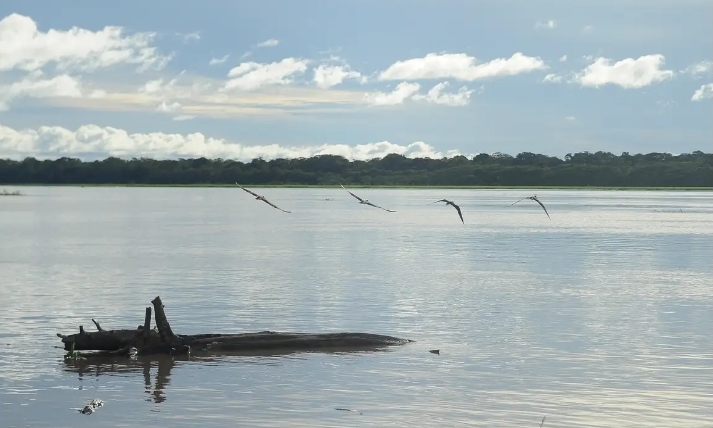 MEIO AMBIENTE – Seca: governo paga auxílio para pescadores da Região Norte